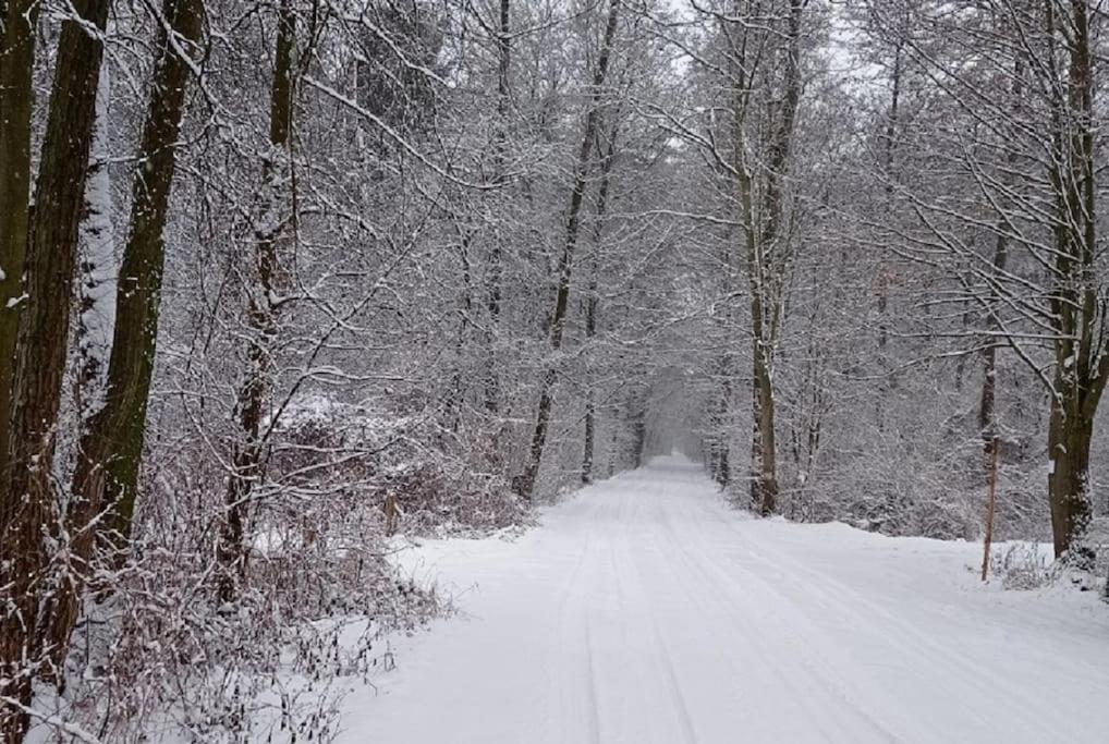 Basiowka Nad Jeziorem Boszkowo Exterior foto